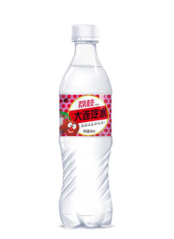 郝氏大连汽水荔枝口味-580ml,20瓶装